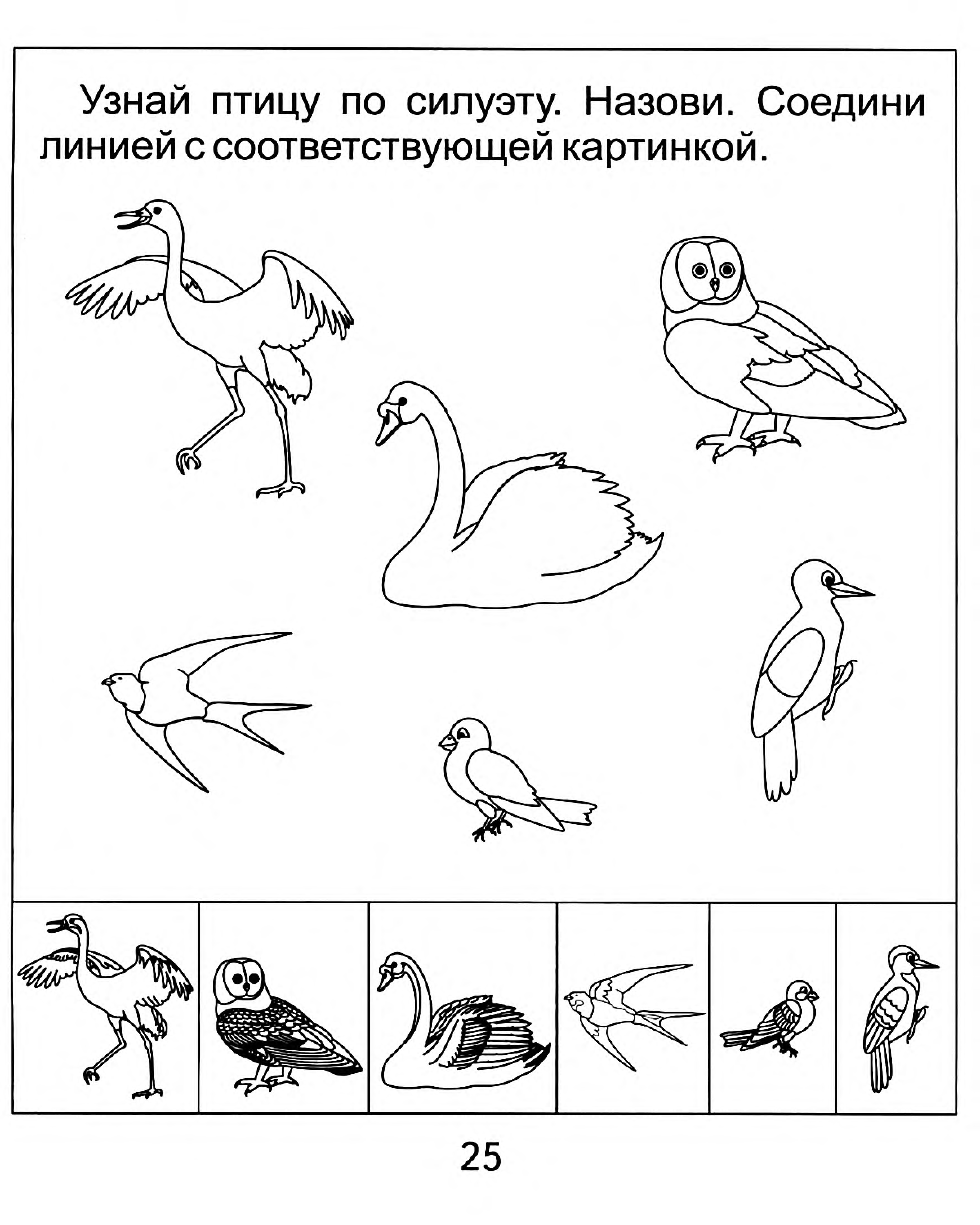 Конспект занятия на тему птицы. Задания для малышей зимующие и перелетные птицы. Задания для детей перелетные и зимующие птицы. Задания для детей по теме перелетные птицы. Задания на тему перелетные птицы для дошкольников.