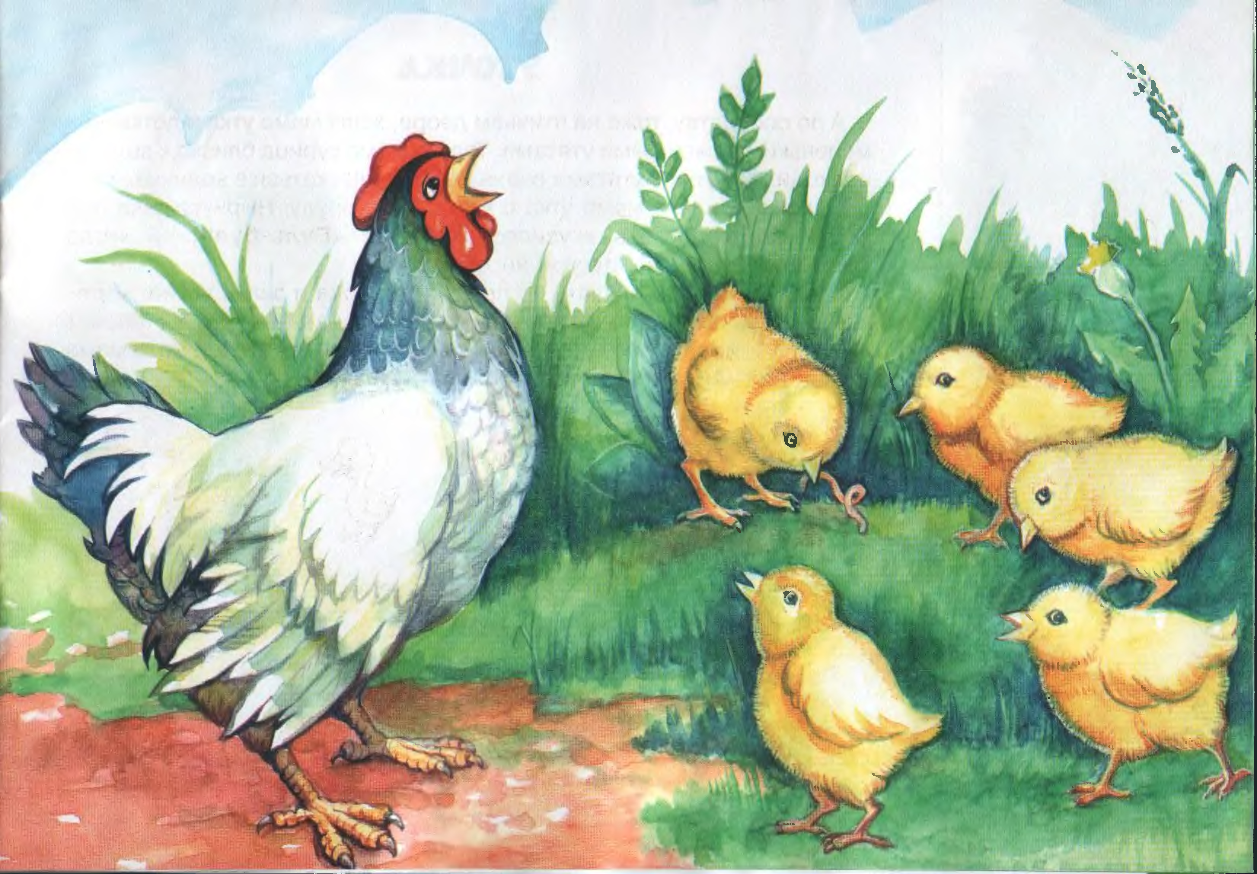 Четверо цыплят. Занятие "Курочка и цыплята" Бондаренко. Курица с цыплятами. Курица с цыплятами для детей. Домашние птицы для детского сада.