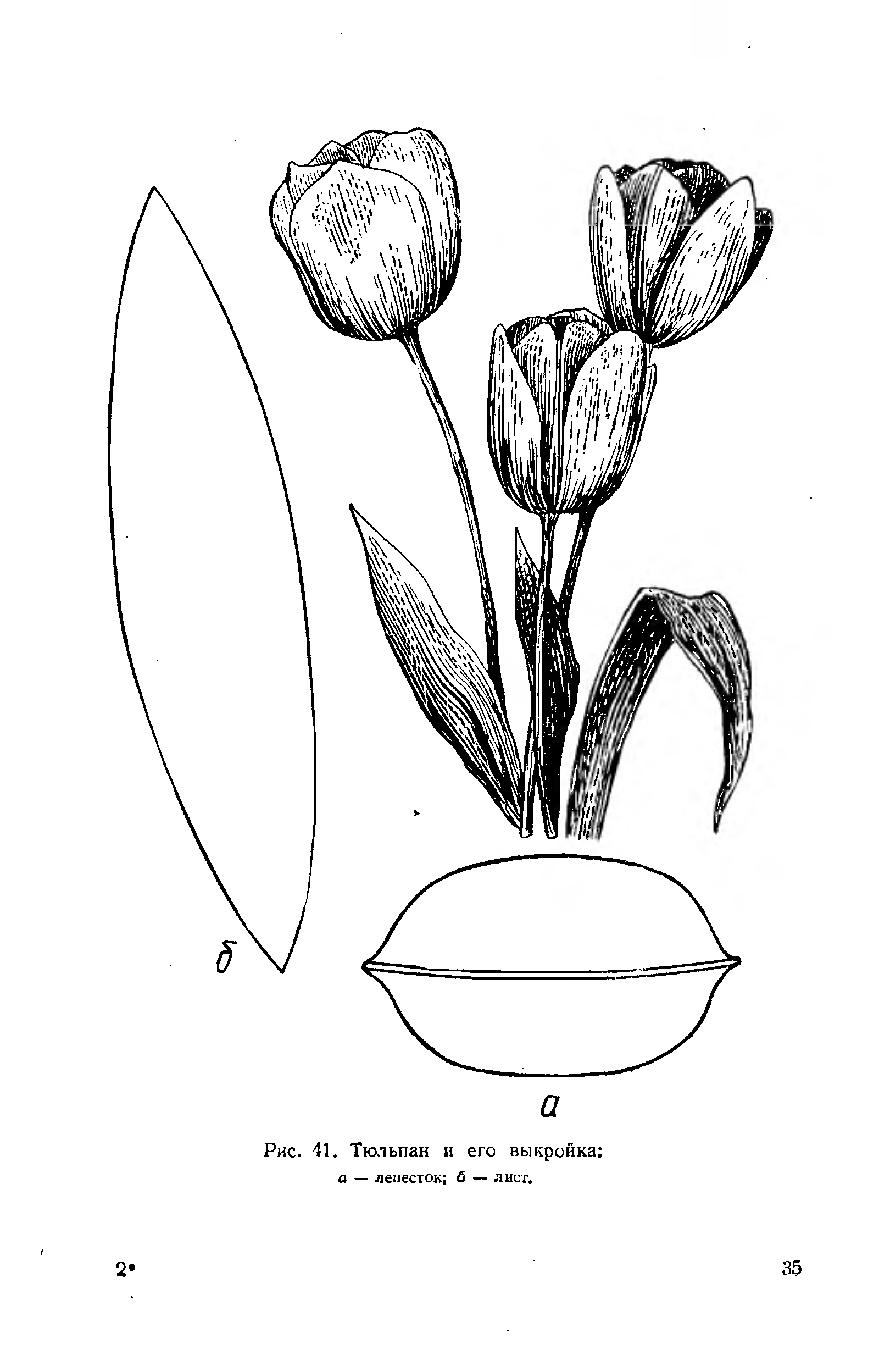 Выкройка лепестка тюльпана