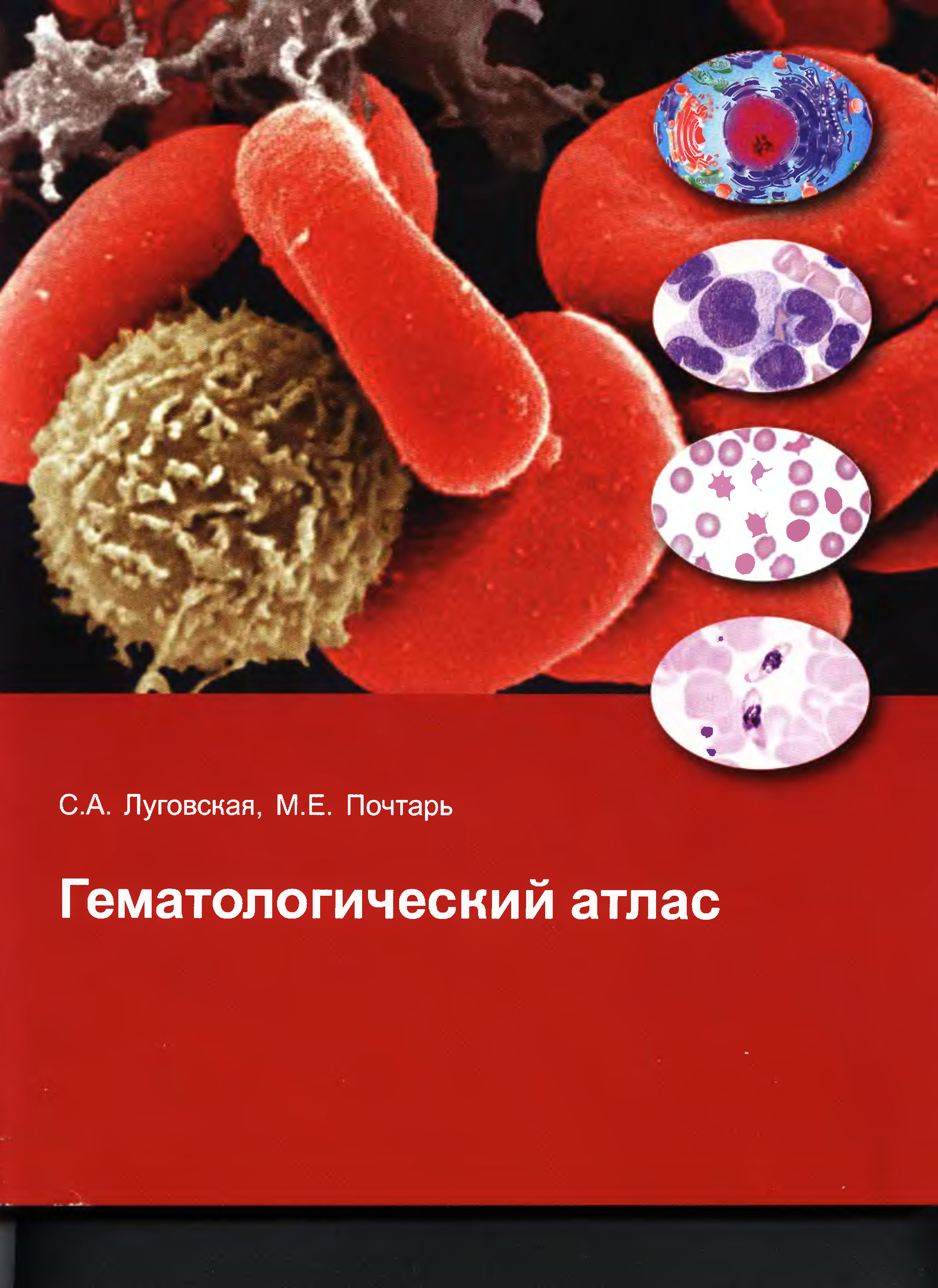 Атлас по клинической лабораторной диагностики. Физиология методическое пособие. Луговская атласы. Гематологический атлас луговская. Луговская атласы.
