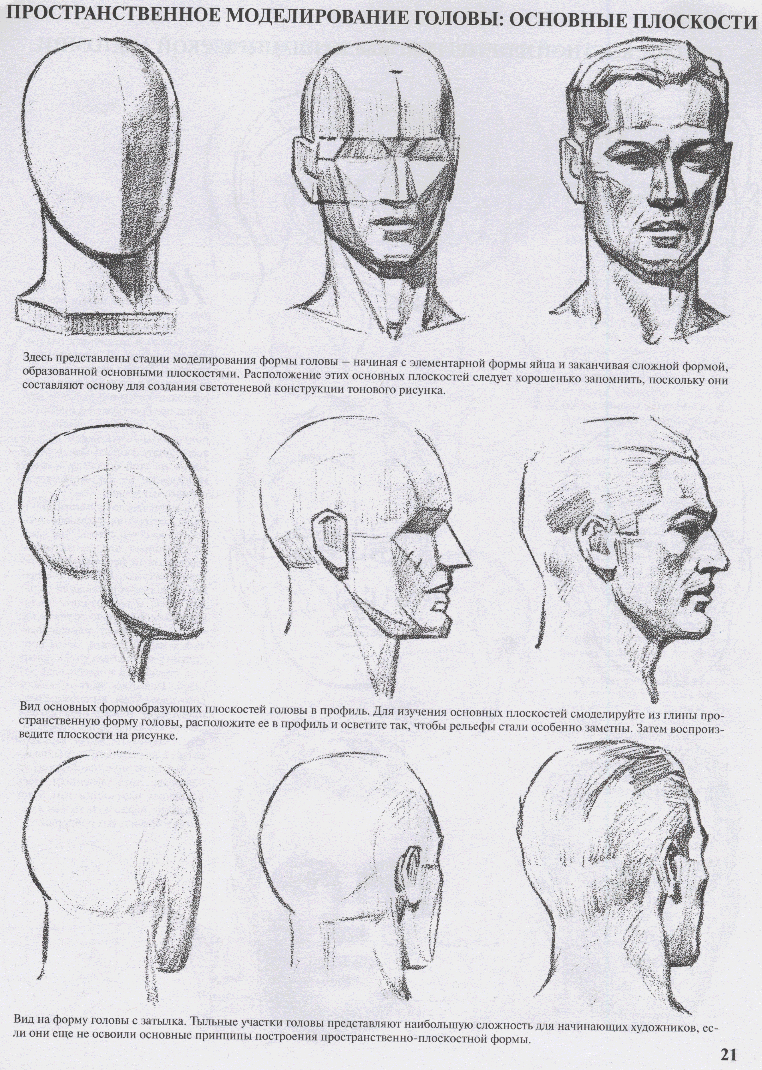 Голова рисунок схема