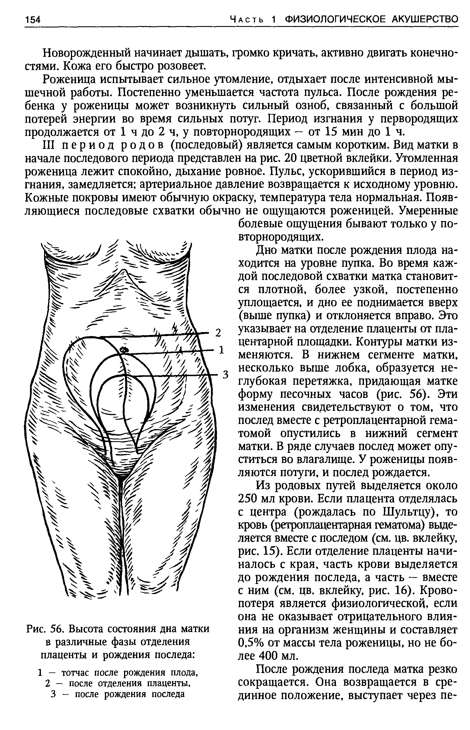 Стояние матки. Высота дна матки по неделям. Высота стояния дна матки по неделям. Дно матки. Высота матки 25 см.