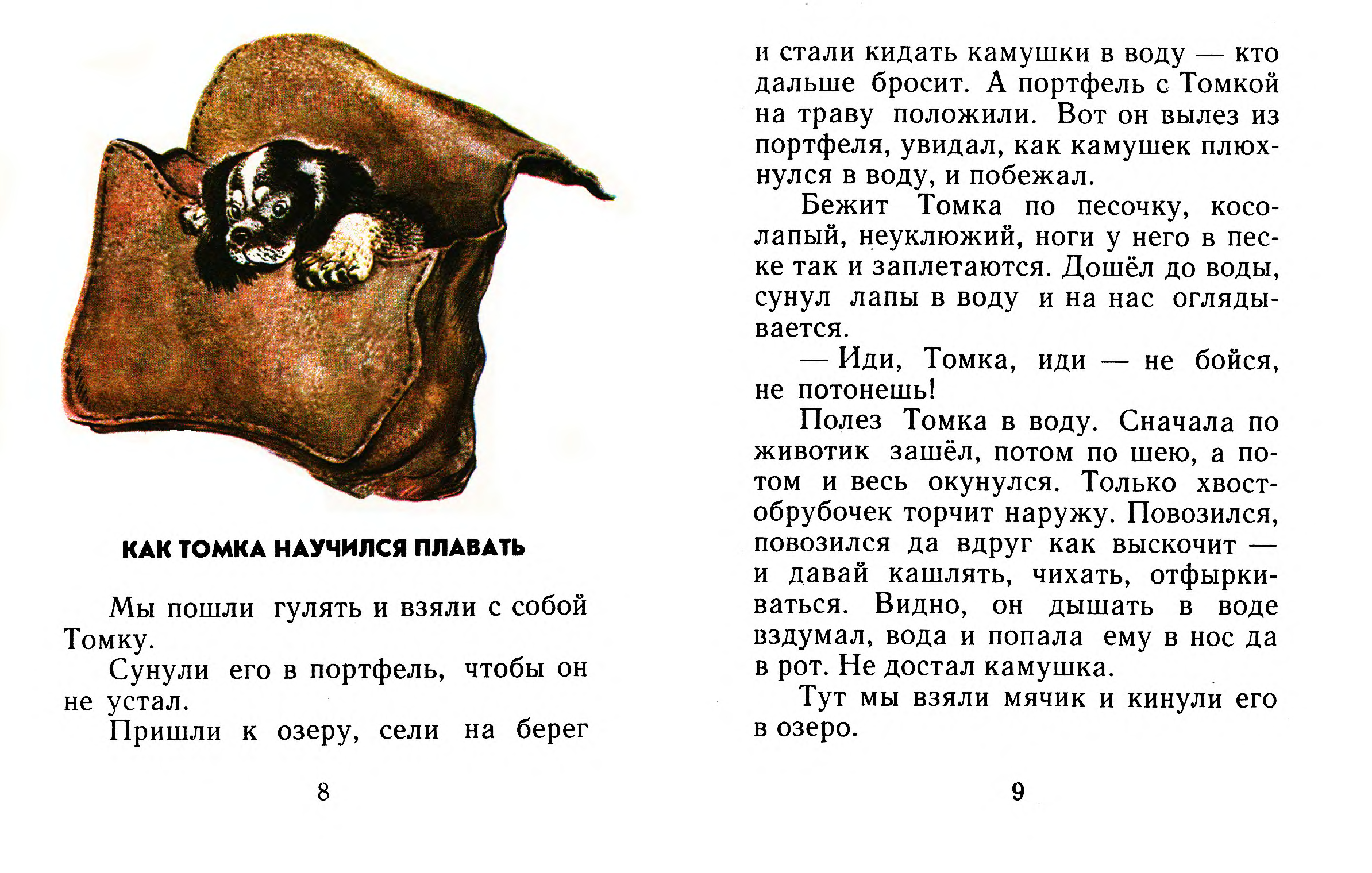 Чарушин про томку текст. Чарушин рассказы про Томку. Е, Чарушин рассказы про Томку. Рассказ Чарушина про Томку книга.