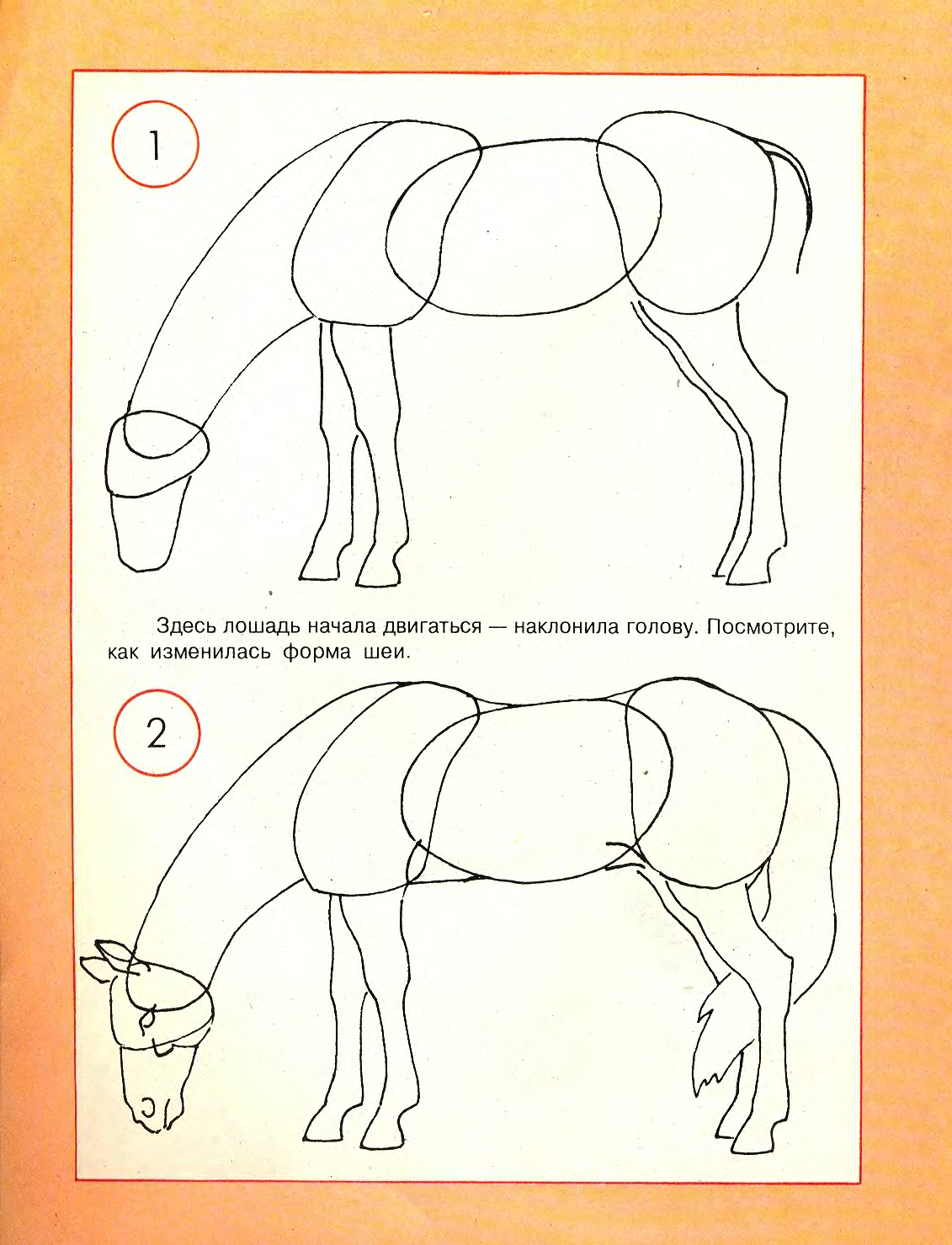 Схема рисования лошади в подготовительной группе
