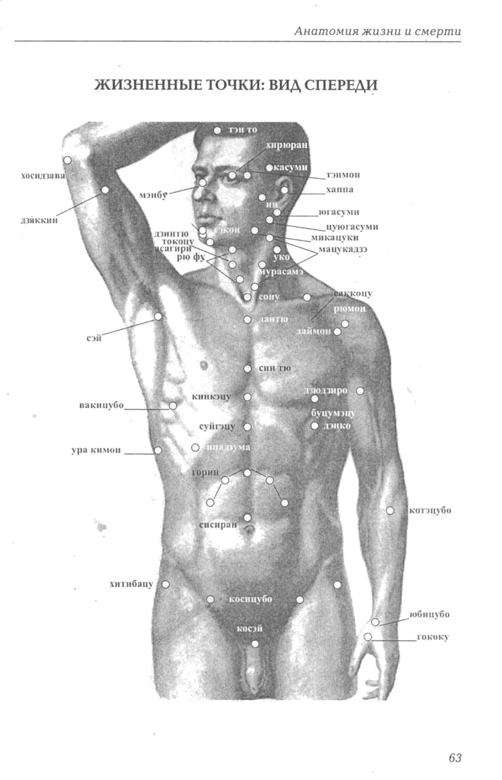 Фото точек человека. Точки на теле. Точки тела человека. Жизненно важные точки на теле. Анатомические точки на теле человека.