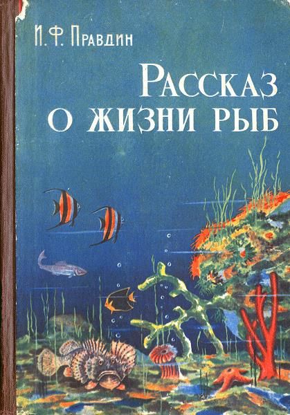 правдин рассказ о жизни рыб. Смотреть фото правдин рассказ о жизни рыб. Смотреть картинку правдин рассказ о жизни рыб. Картинка про правдин рассказ о жизни рыб. Фото правдин рассказ о жизни рыб